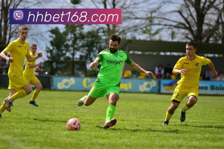 hahabet官网平台生态图